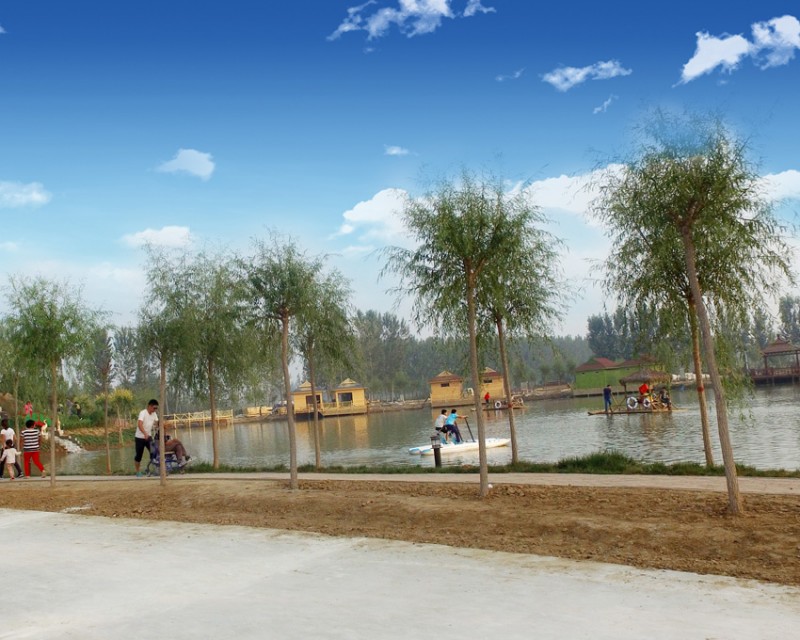 香河杨家寨脚踏船